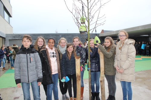 Leerlingen Groen-Atelier installeren vogelvoederhuisjes.