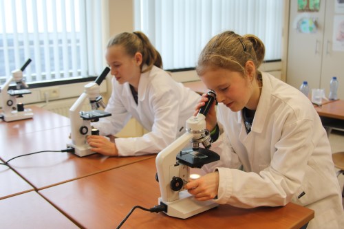 Bezoek lagere scholen