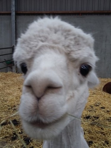 Studiereis vierde jaar TSO – BSO