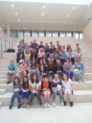 Kangoeroewedstrijd 1ste graad