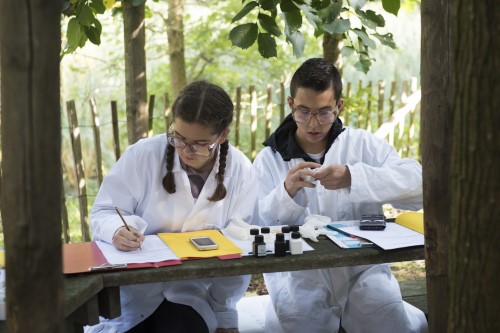 Biotoopstudie 4de jaar