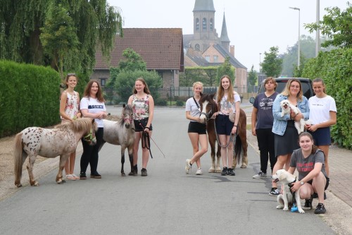Klas 5.4B sluit schooljaar af met ponywandeling