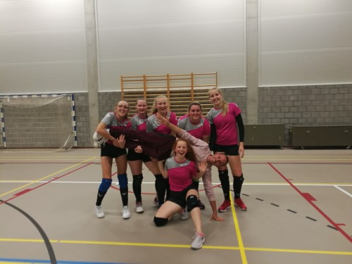 ’De pink panters’, onze scholieren meisjes volleybal